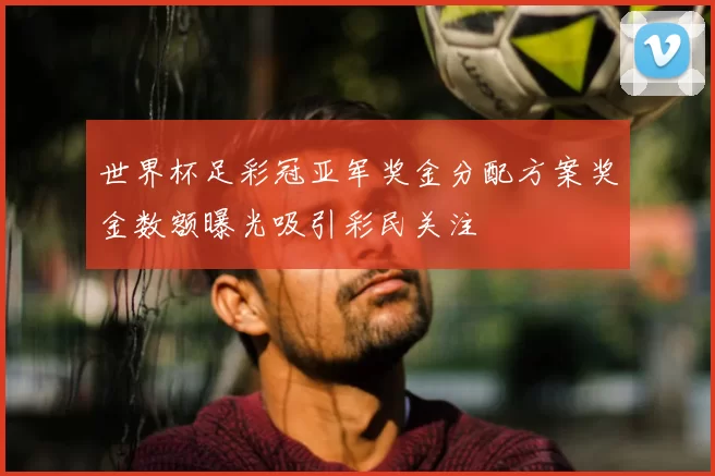 世界杯足彩冠亚军奖金分配方案奖金数额曝光吸引彩民关注