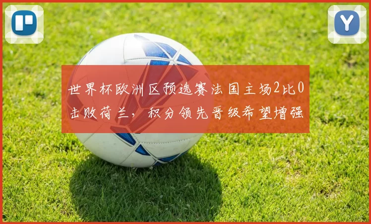 世界杯欧洲区预选赛法国主场2比0击败荷兰，积分领先晋级希望增强