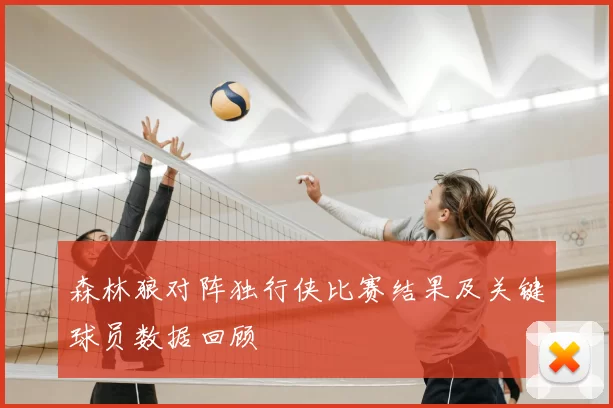 森林狼对阵独行侠比赛结果及关键球员数据回顾