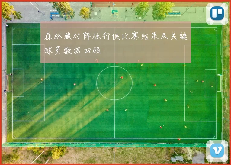 森林狼对阵独行侠比赛结果及关键球员数据回顾