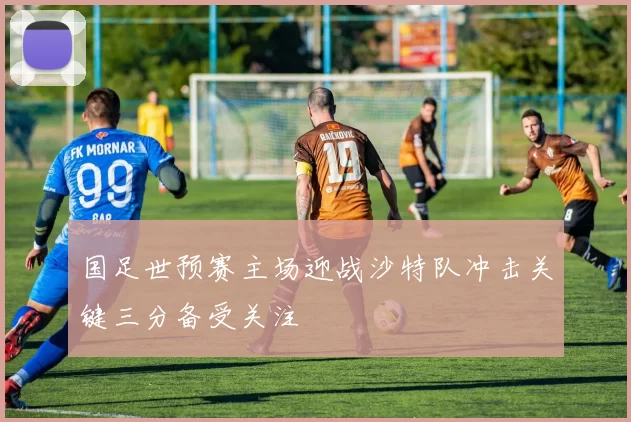 国足世预赛主场迎战沙特队冲击关键三分备受关注